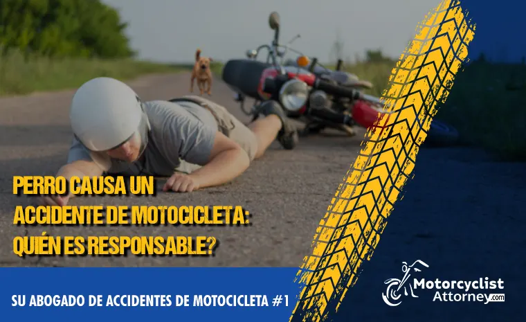 Perro causa un accidente de motocicleta